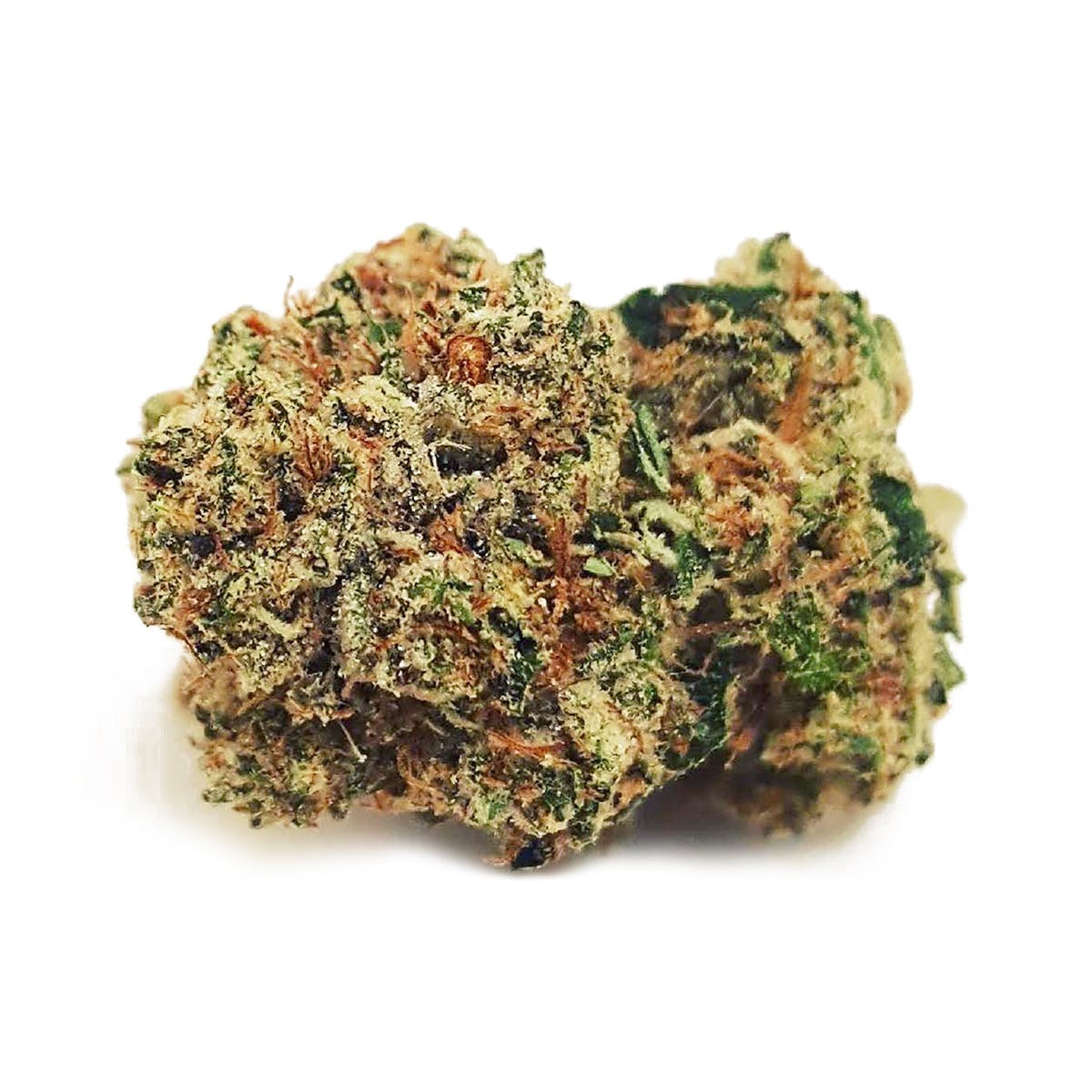 marijuana-dispensaries-752-north-lake-ave-pasadena-kosher-og-kush