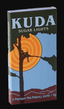 Kuda - Sugar Lights *Special Deal*