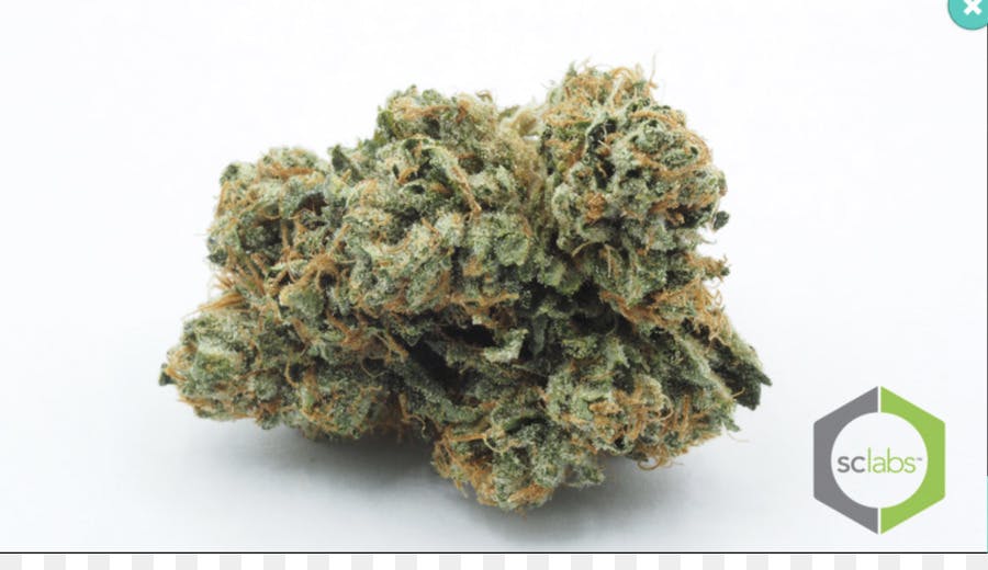 marijuana-dispensaries-sunny-side-patient-care-in-moreno-valley-kush-mint