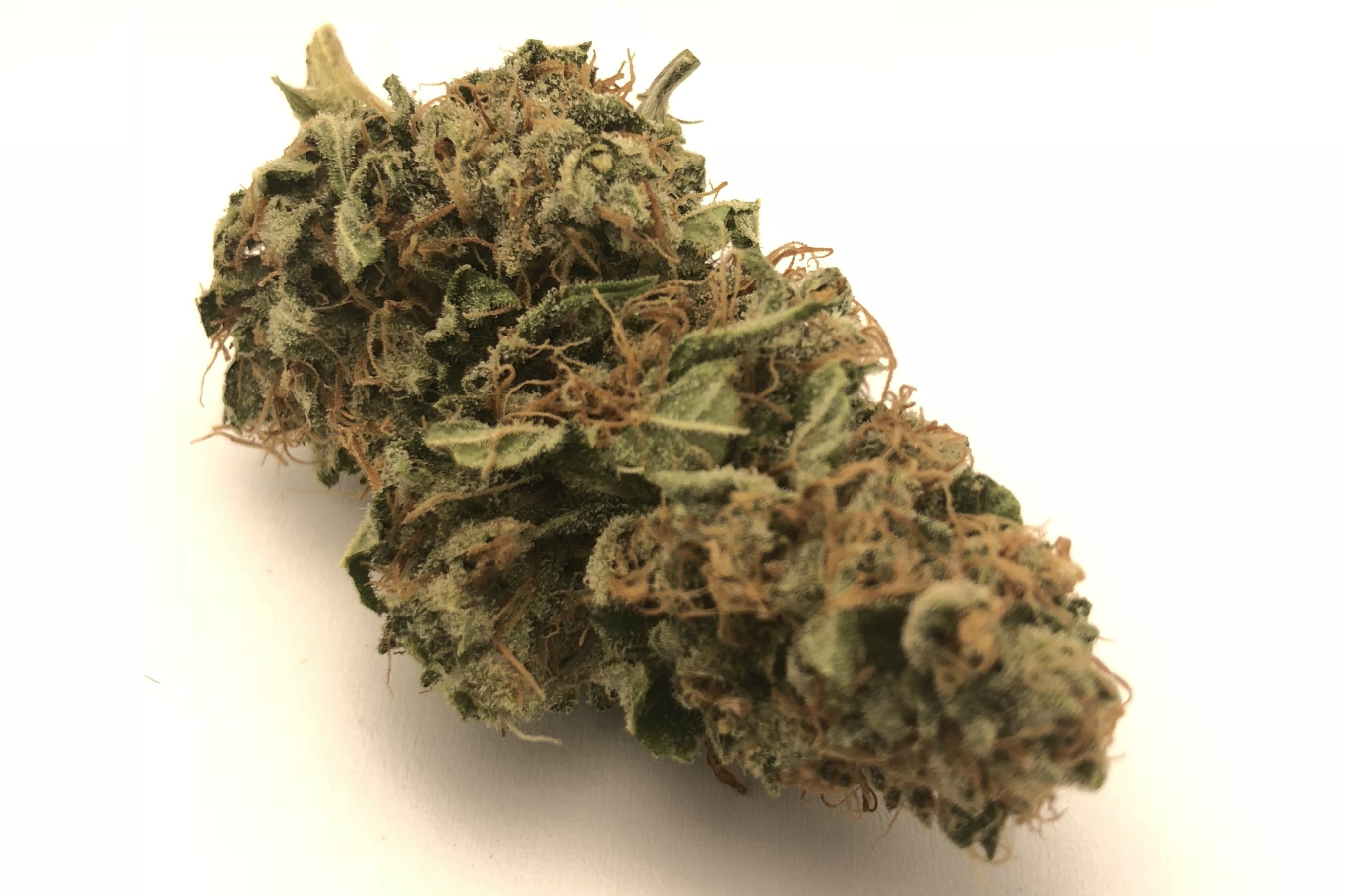 marijuana-dispensaries-the-shop-in-covina-kush