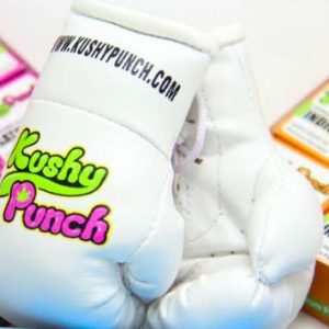 Kushy Punch Gloves