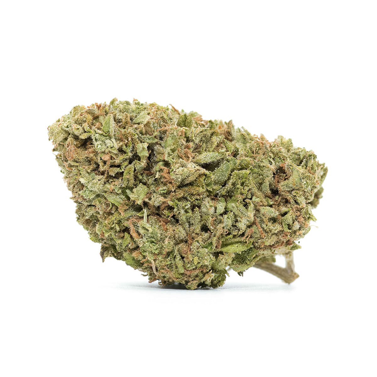 marijuana-dispensaries-mspc-in-mt-shasta-lady-benbow