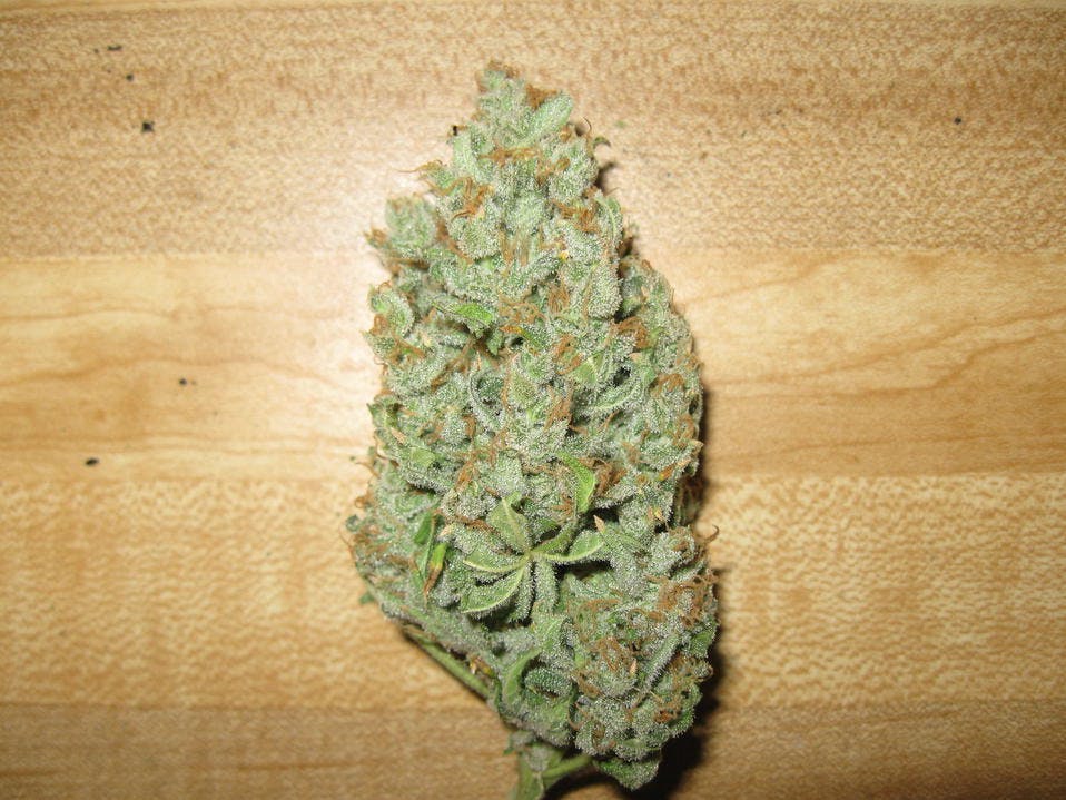marijuana-dispensaries-8227-sunland-blvd-sun-valley-larry-og-5for45
