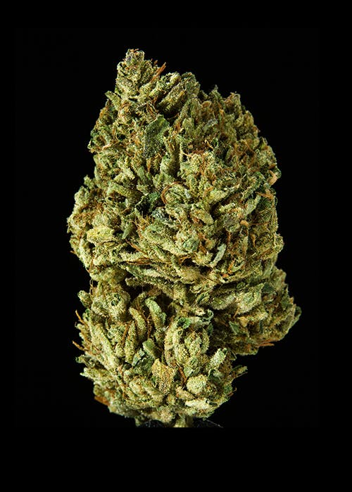 marijuana-dispensaries-11103-san-fernando-rd-pacoima-larry