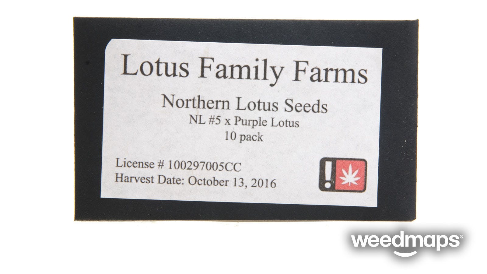 seed-laughing-lotus-farm-northern-lights-10pk-seeds