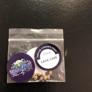 Lava Cake/pack of 10 seeds
