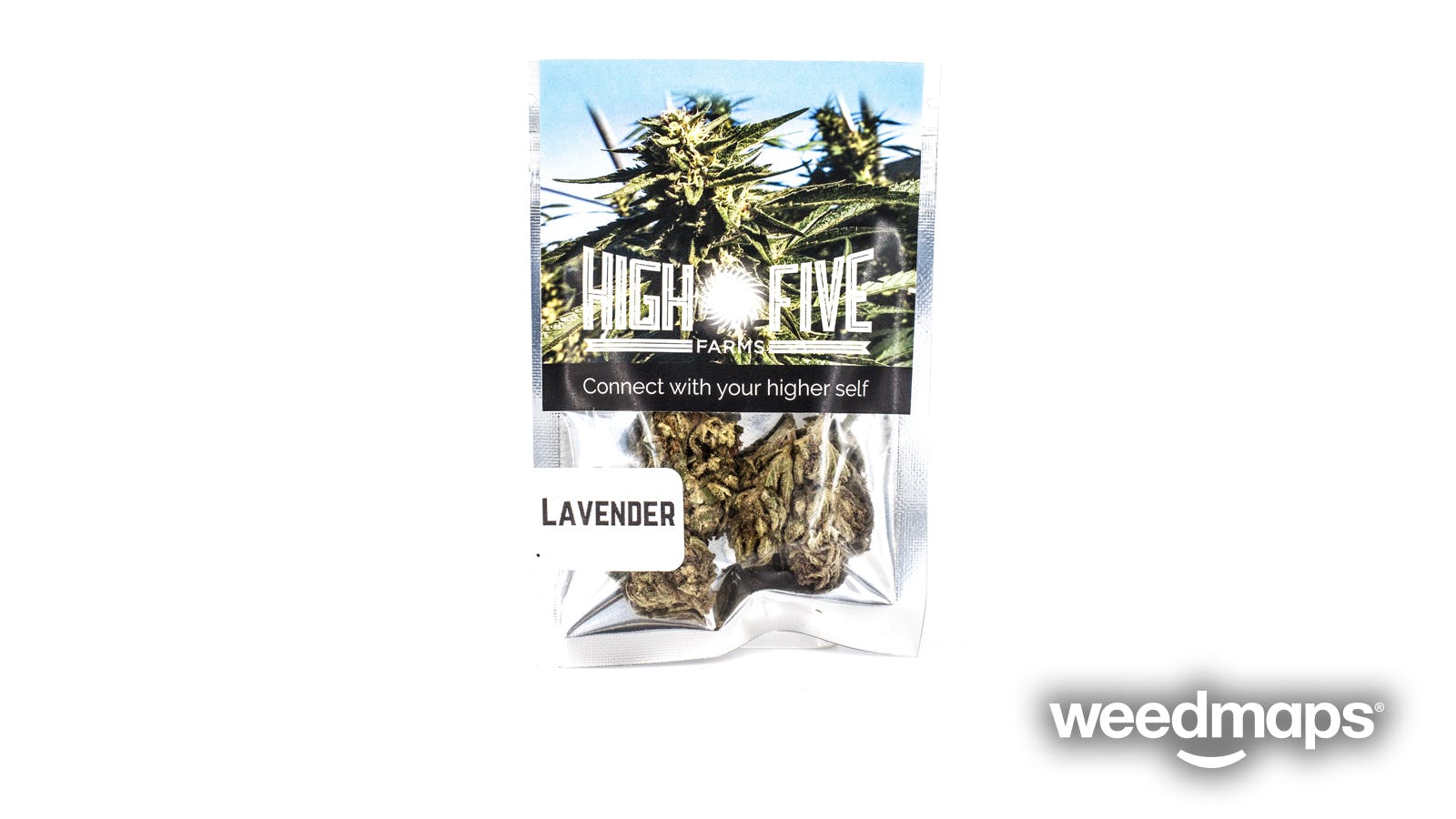 indica-lavender-by-high-five-farms