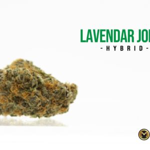 Lavender Jones (H) (20.22% THC)