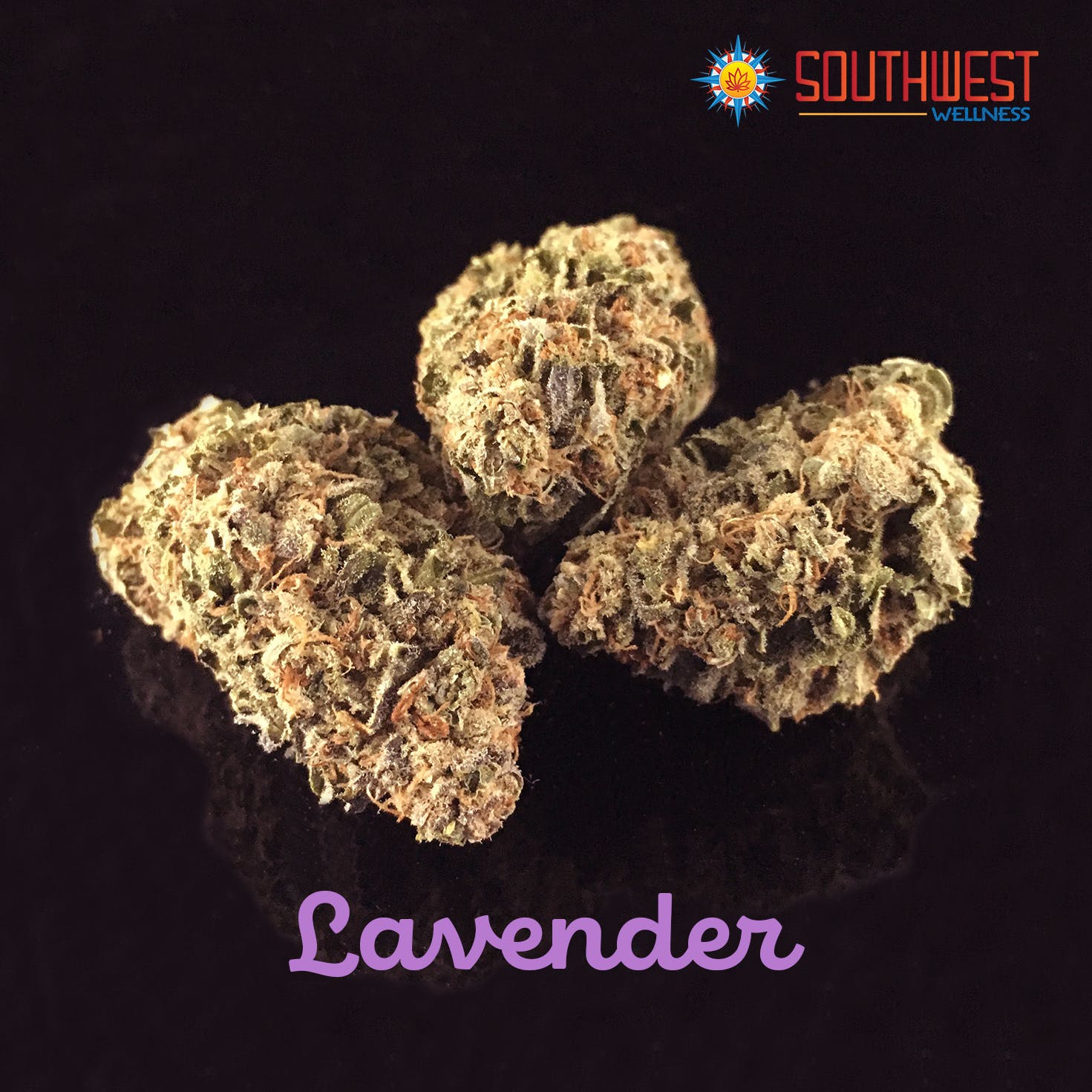 Lavender - THC 17.2%