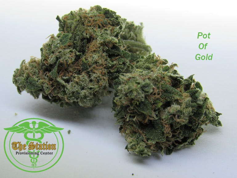 marijuana-dispensaries-302-e-huron-ave-vassar-leilani-pot-o-gold