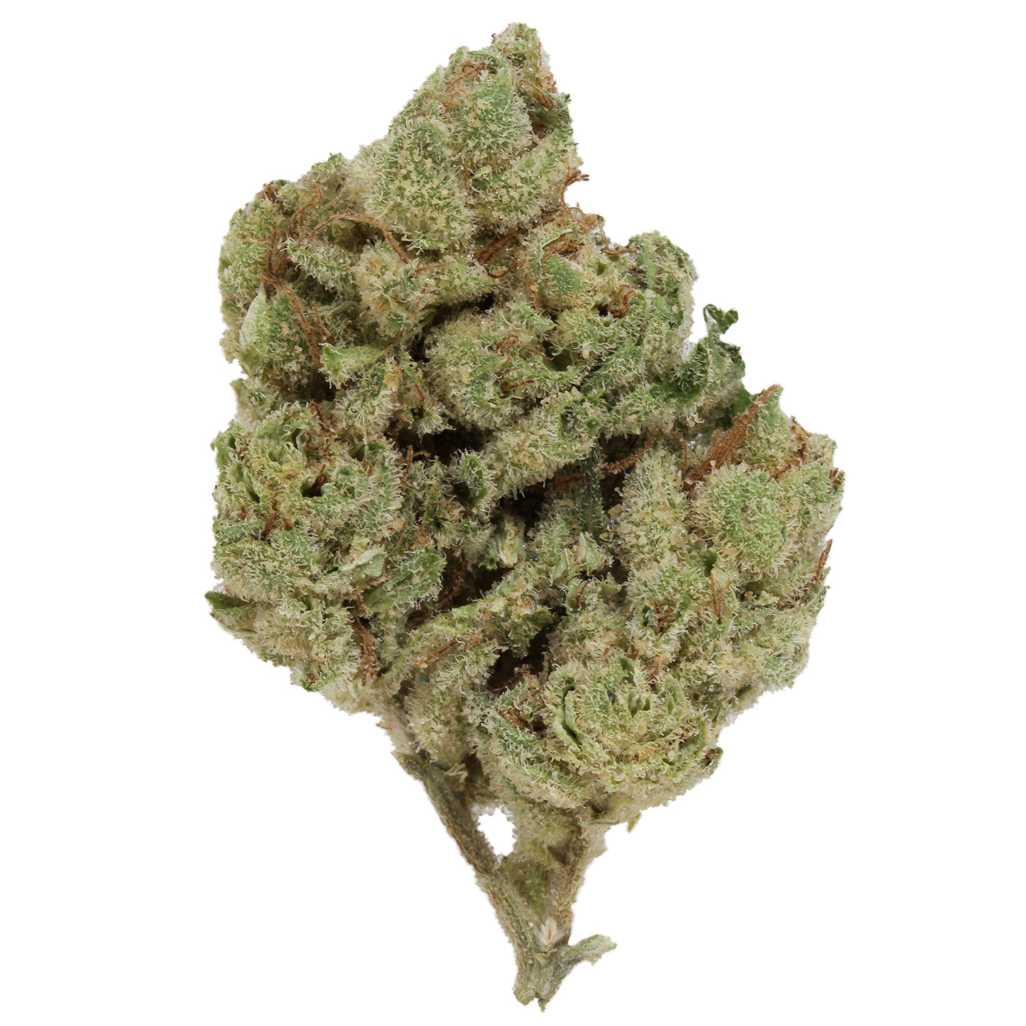 marijuana-dispensaries-pure-710sf-in-san-francisco-lemon-banana-sherbert-by-floracal