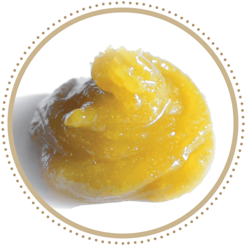 Lemon Banana Sherbet Batter | Guild Extracts
