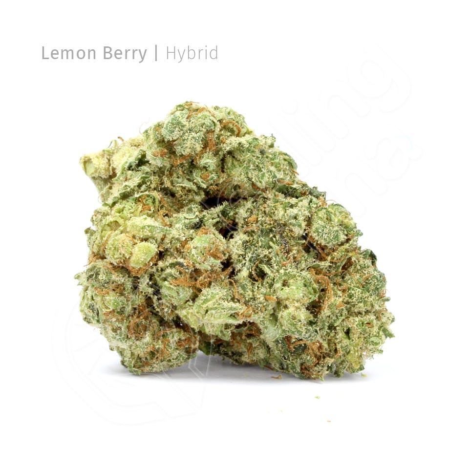 marijuana-dispensaries-22-s-chesnut-st-colorado-springs-lemon-berry