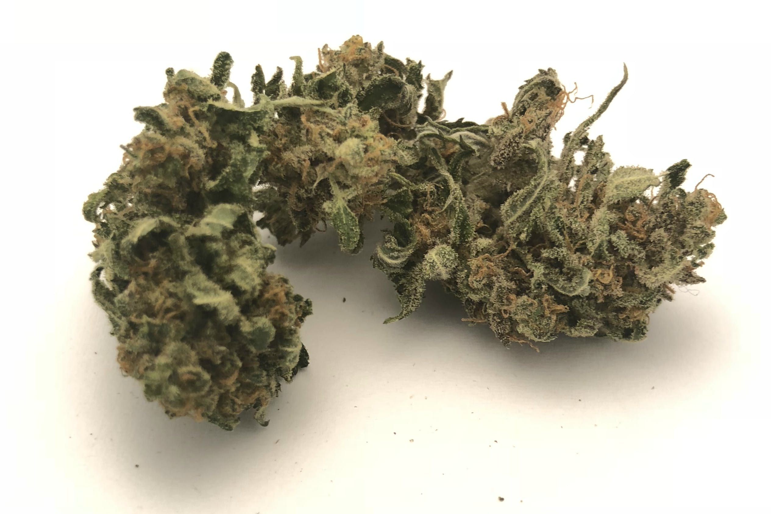 marijuana-dispensaries-doctor-green-in-tulsa-lemon-kush