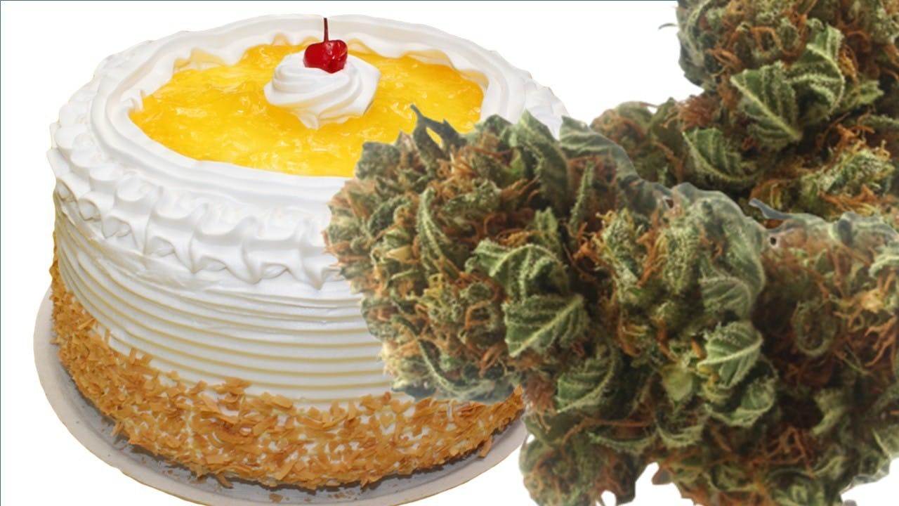 marijuana-dispensaries-900-lomita-blvd-suite-k-harbor-city-lemon-meringue-cake-5g-40-2450