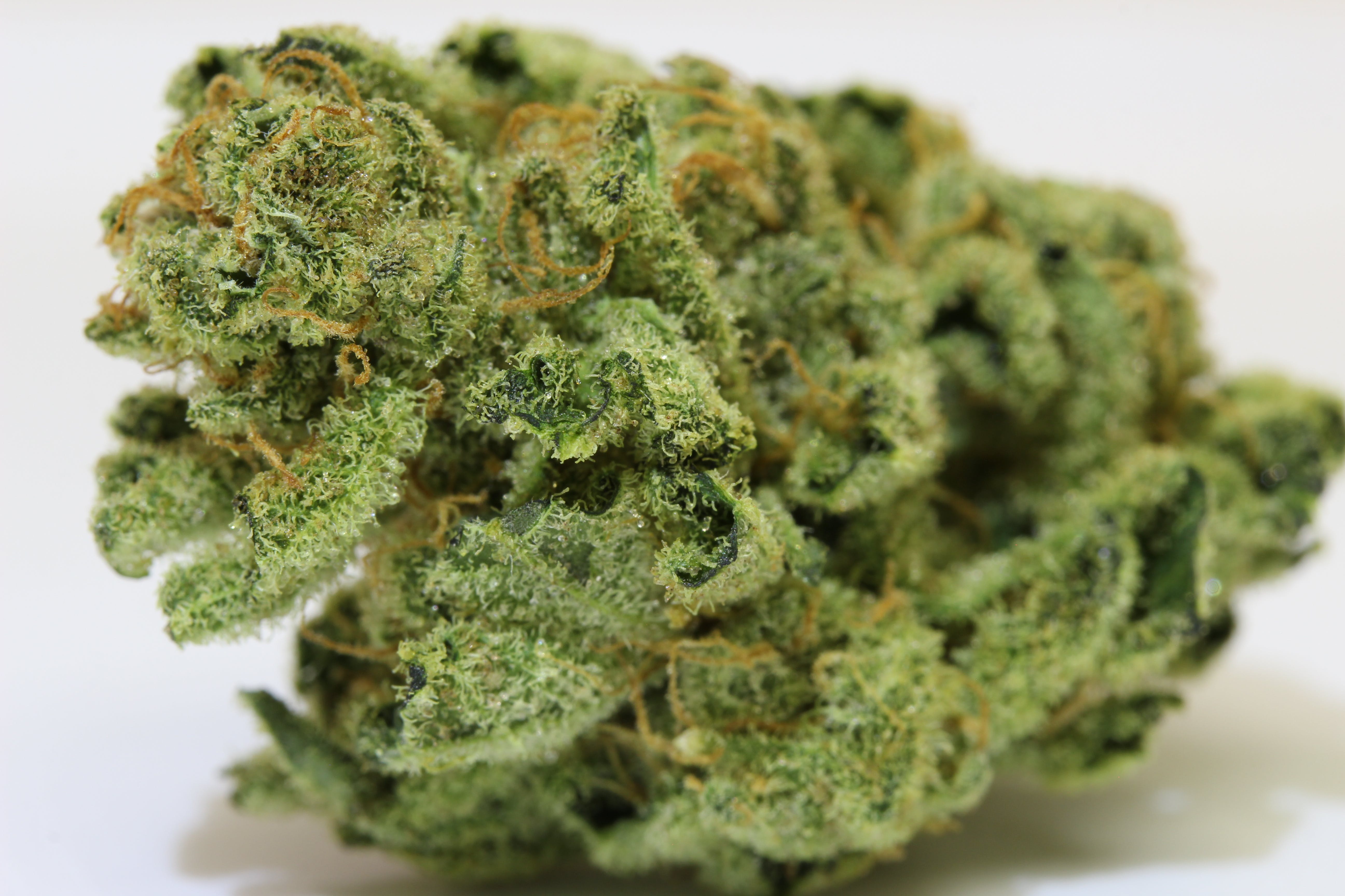 marijuana-dispensaries-medicine-wheel-in-roseneath-lemon-og-haze