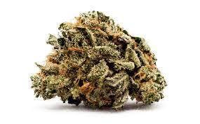 marijuana-dispensaries-5846-allentown-way-camp-springs-lemon-skunk-by-sunmed-growers