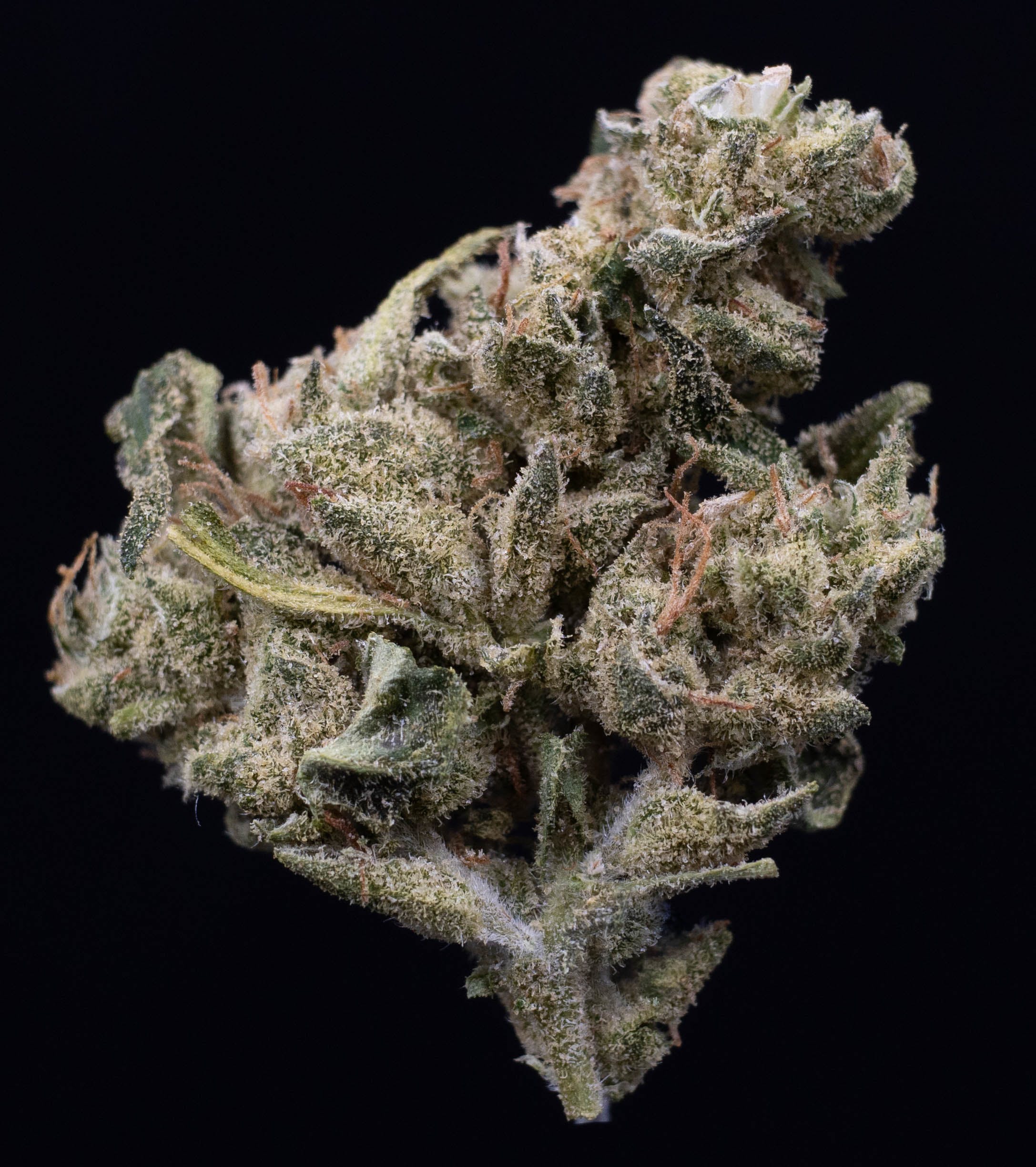 marijuana-dispensaries-1301-ne-broadway-portland-lemon-sugar-kush-medical-kumba-hills-farms