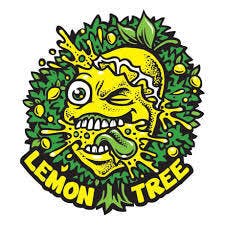 Lemon Tree Preroll 5 Count