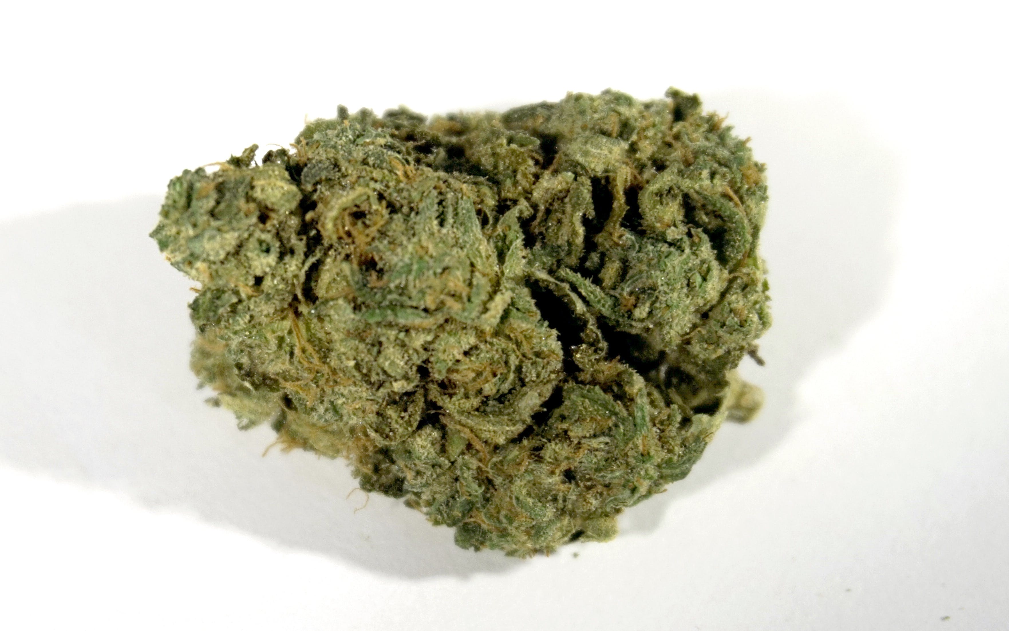 marijuana-dispensaries-5550-joliet-st-denver-lemon-wheel