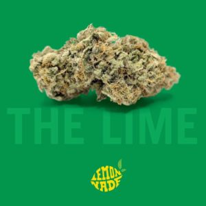Lemonade - The Lime