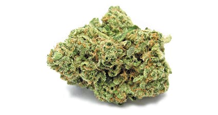 marijuana-dispensaries-mc-caregivers-in-colorado-springs-leroy-og