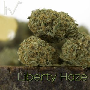 Liberty Haze Hybrid Sativa