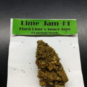 Lime Jam #1