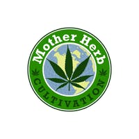 Lime Light - Mother Herb