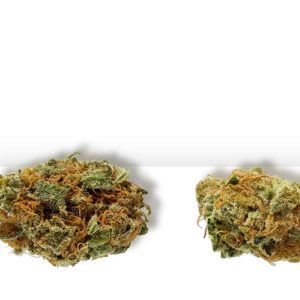 Limited $35 Half Ounce Bud (Pre Packed) – Wonder Woman