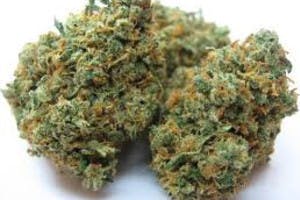 marijuana-dispensaries-hydrostone-bigbud-in-halifax-lindsay-og