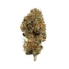 marijuana-dispensaries-615-e-lincoln-ave-las-vegas-loc-dog