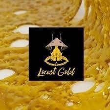 Locust Gold - F3 OG Shatter