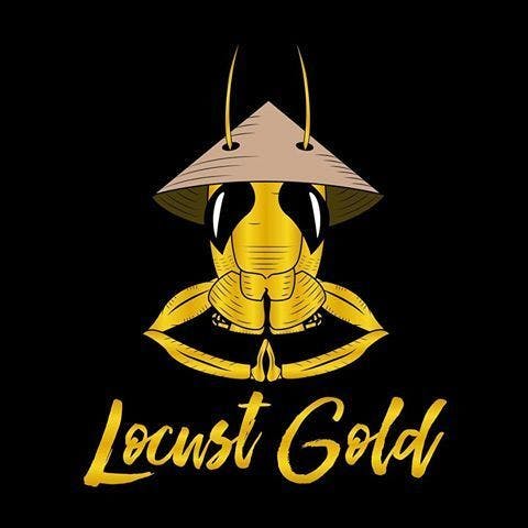 Locust Gold - Fire OG Shatter
