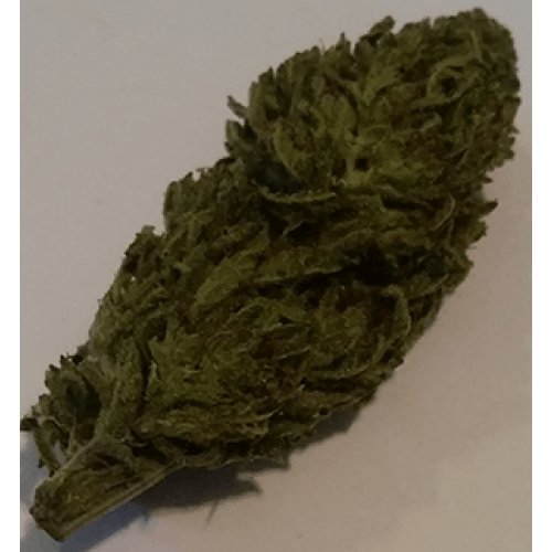 marijuana-dispensaries-marijuana-in-del-city-lord-humungus
