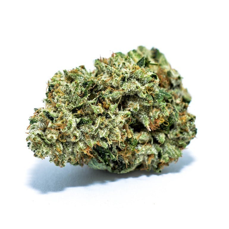 indica-louie-xiii-5for50