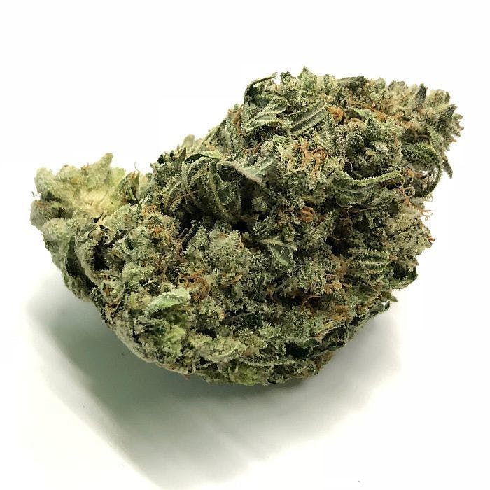 indica-louis-xiii-10g-for-24110