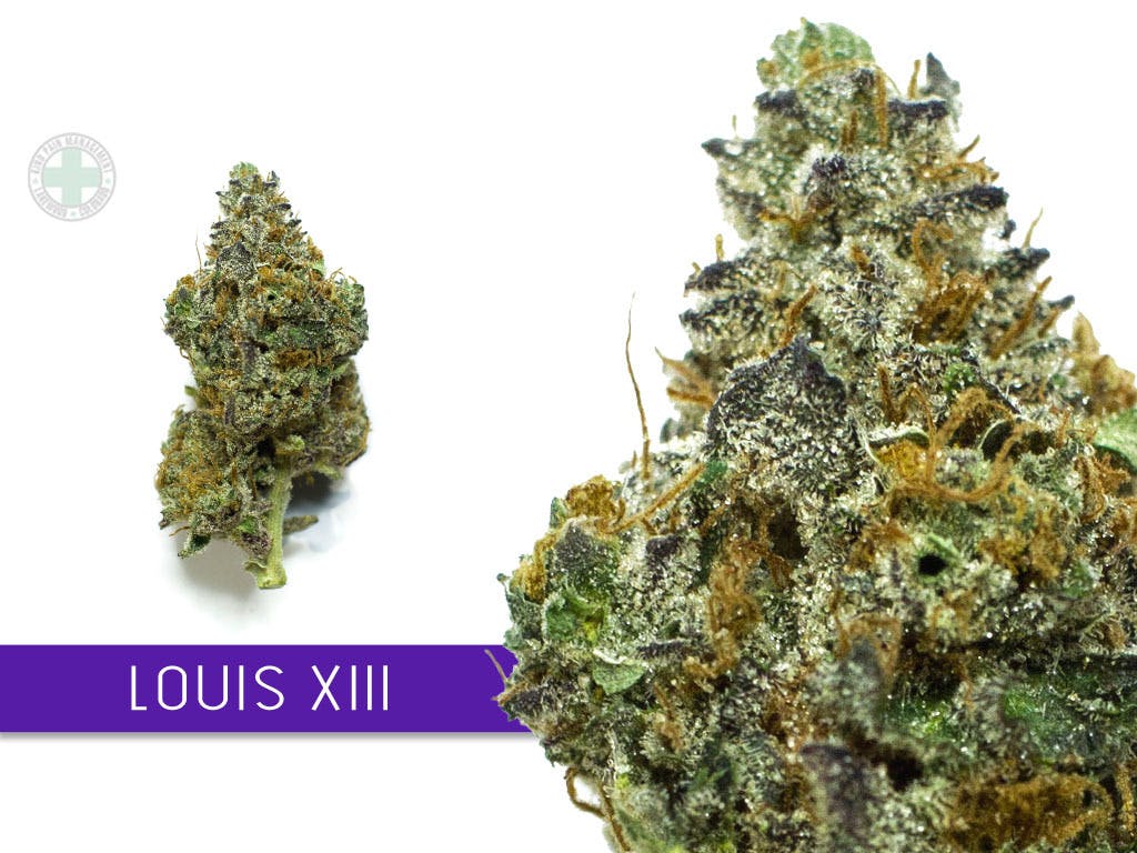 indica-louis-xiii