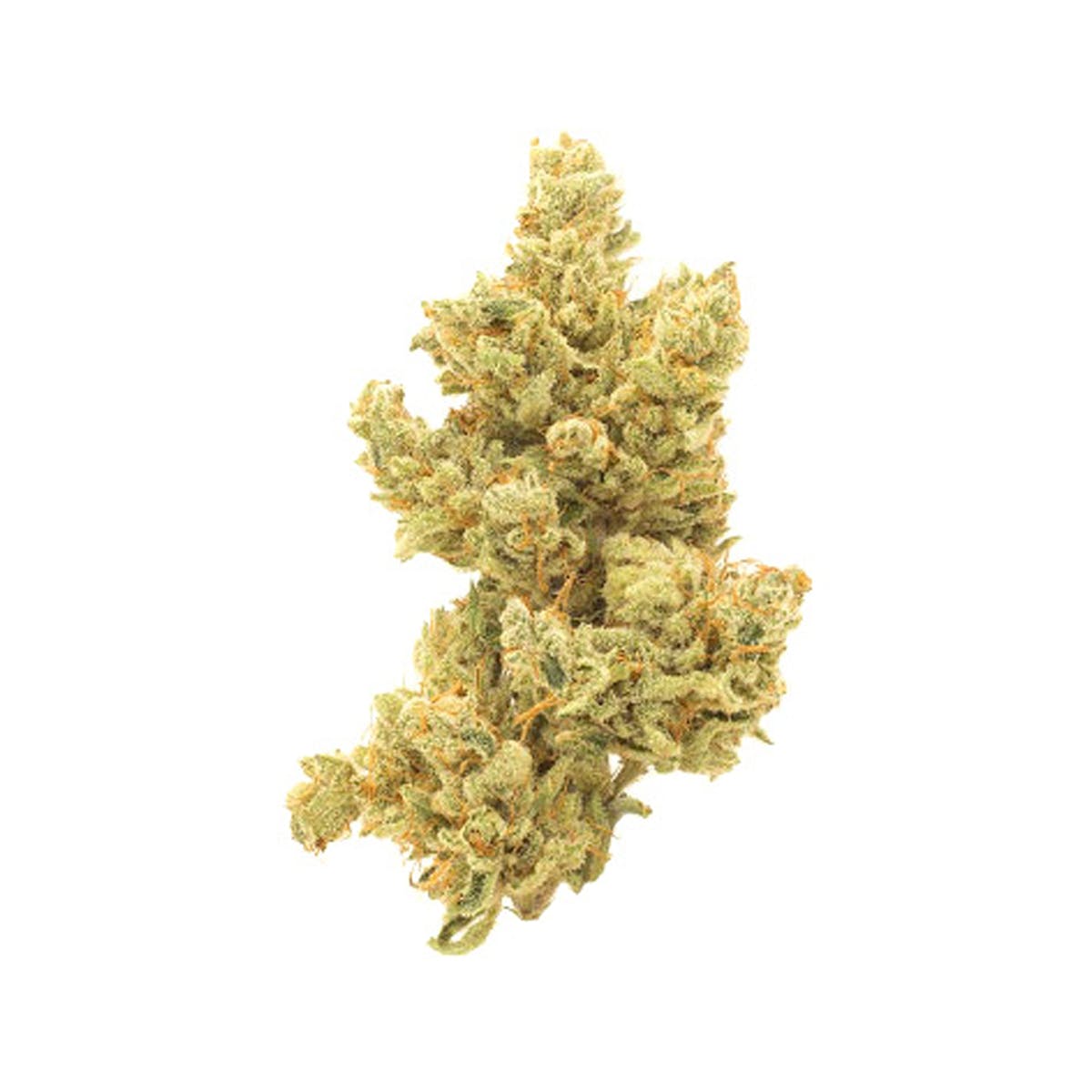 marijuana-dispensaries-peninsula-alternative-health-in-salisbury-love-cbd-by-culta