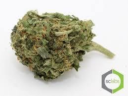 marijuana-dispensaries-130-north-brookhurst-st-anaheim-low-shelf-sherbert