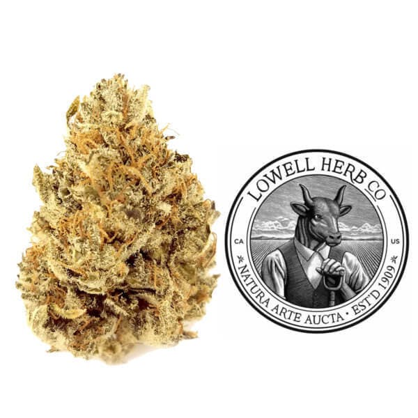 marijuana-dispensaries-1704-main-ave-sacramento-lowell-farms-3-5g-lemon-hashplant
