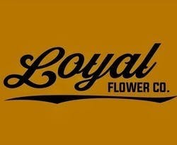 LOYAL FLOWER CO. ORANGE ZKITTLES