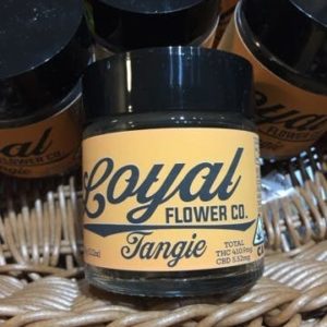 Loyal Flowers - Tangie - (S)