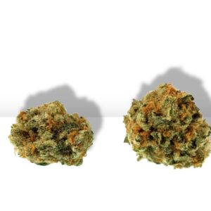 Lucid Blue - 1/8 Popcorn Buds (Pre-Packed)