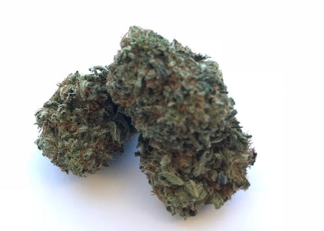 marijuana-dispensaries-3915-wilder-rd-bay-city-luke-skywalker-og