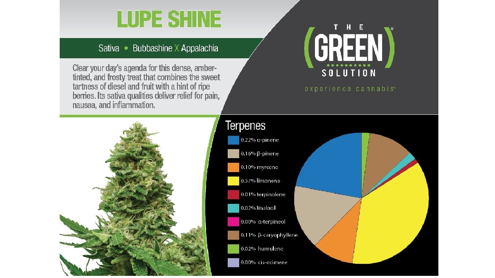 marijuana-dispensaries-the-green-solution-sheridan-in-sheridan-lupe-shine