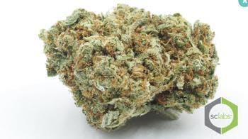 marijuana-dispensaries-114-n-brookhurst-st-anaheim-m-39-og-top-shelf