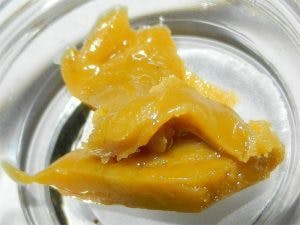 *M2 EXTRACTS | [NUG RUN BUDDER] | APPLE FRITTER COOKIES 1G