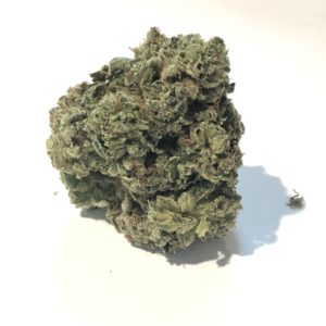 M2 GENETICS 3.5G PRE-PACKAGED MOVEMENT COCONADE