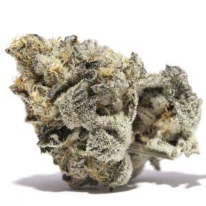 Mad Cow Genetics | Girl Scout Cookies